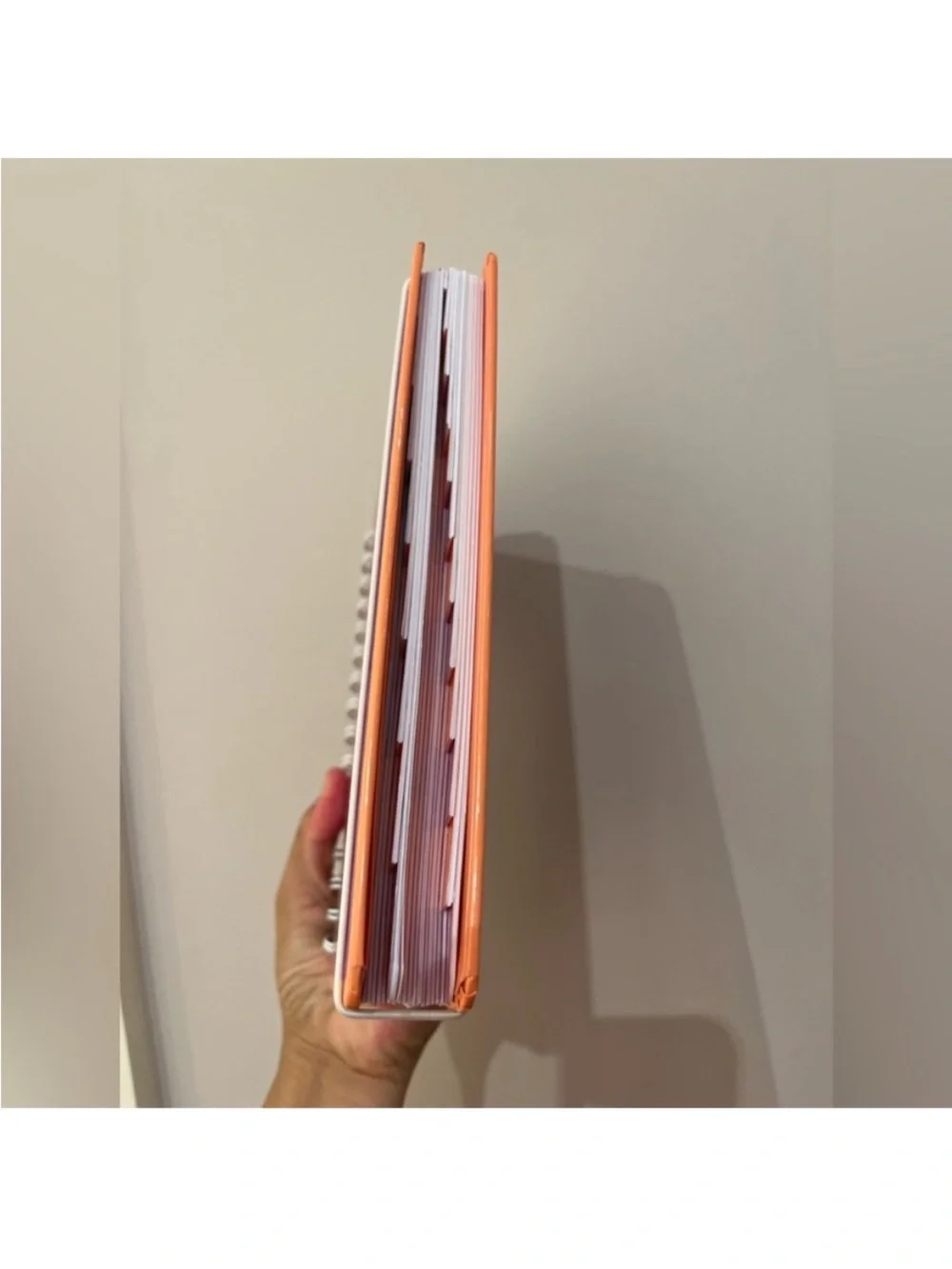 Kate Spade It's Your Lucky Day 2024-25 17-month Large Planner # K240242